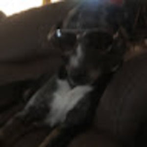 Meet your Posher, Logan